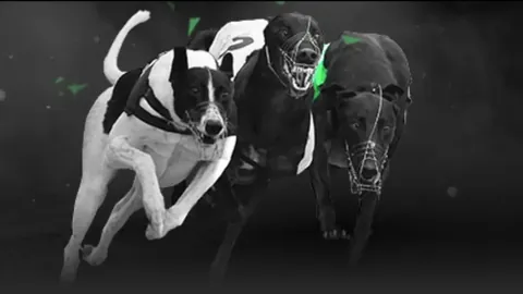 速递体坛：资讯速览，14小时热闻